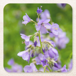 Delikate blaue Blumen auf einem grünen Feld im Frü Rechteckiger Pappuntersetzer