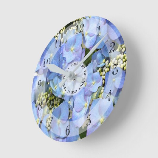 Delikate Blaue Lakecap Hydrangea Runde Uhr (Winkel)