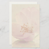 Delikate Blume Soft Pink Cherry Blossom Briefpapier (Vorne/Hinten)