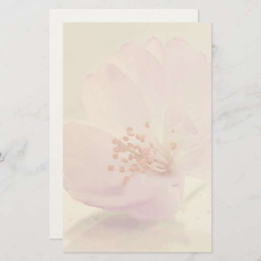 Delikate Blume Soft Pink Cherry Blossom Briefpapier (Vorne/Hinten)