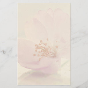 Delikate Blume Soft Pink Cherry Blossom Briefpapier