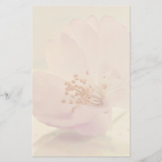 Delikate Blume Soft Pink Cherry Blossom Briefpapier (Vorderseite)