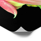 Delikate Columbine-Blume Poster (Ecke)