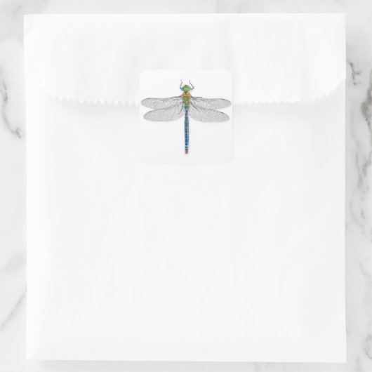 Delikate Dragonfly Quadratischer Aufkleber (Tasche)