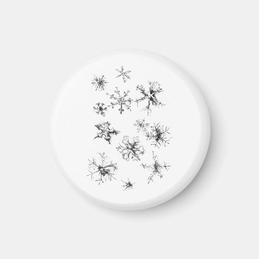 Delikate fallende Schneeflocken Magnet (Vorne)
