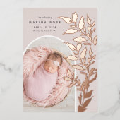 Delikate Foil-Blätter | Ankündigung von Foto zur G (Vorderseite)