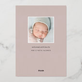 Delikate Foil-Blätter | Ankündigung von Foto zur G (Rückseite)