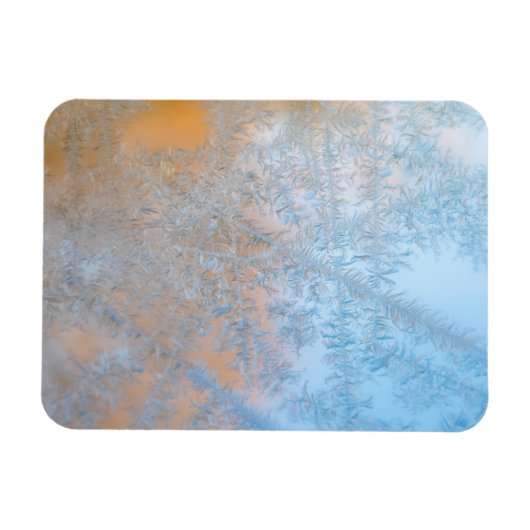 Delikate Frostmuster, Wisconsin Magnet (Horizontal)