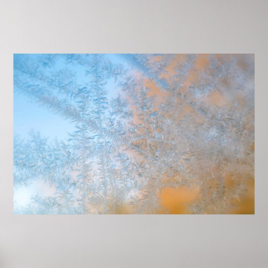 Delikate Frostmuster, Wisconsin Poster (Vorne)