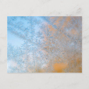 Delikate Frostmuster, Wisconsin Postkarte