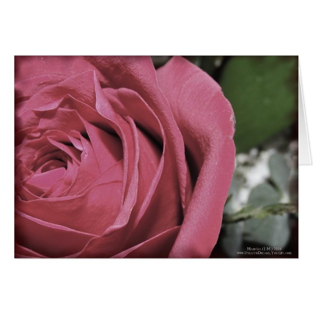 Delikate Gefühle (Vorderseite (Horizontal))