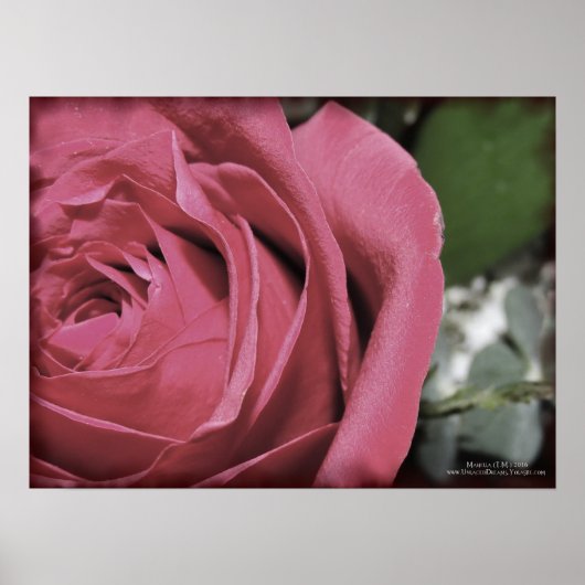 Delikate Gefühle Poster (Vorne)