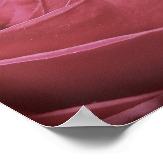 Delikate Gefühle Poster (Ecke)