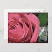 Delikate Gefühle Postkarte (Vorne/Hinten)