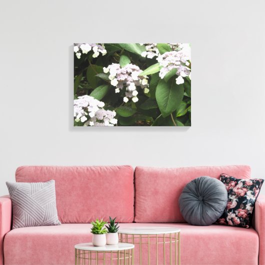 Delikate Hydrangeas Leinwanddruck (Insitu (Wohnzimmer))