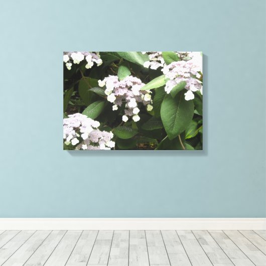 Delikate Hydrangeas Leinwanddruck (Insitu (Holzboden))