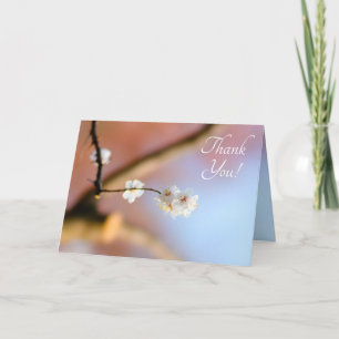 Delikate japanische Aprikosenblüten Dankeskarte