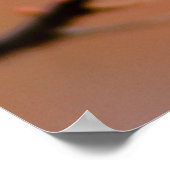 Delikate japanische Aprikosenblüten Poster (Ecke)