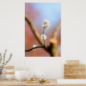 Delikate japanische Aprikosenblüten Poster (Küche)