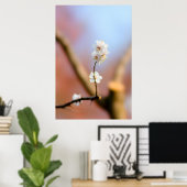 Delikate japanische Aprikosenblüten Poster (Heimbüro)