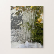 Delikate Kreise aus einem Busch