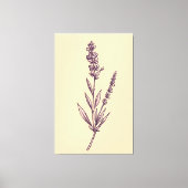 Delikate Lavendel Sprig auf Creme Background Leinwanddruck (Vorderseite)