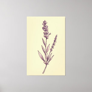 Delikate Lavendel Sprig auf Creme Background Leinwanddruck
