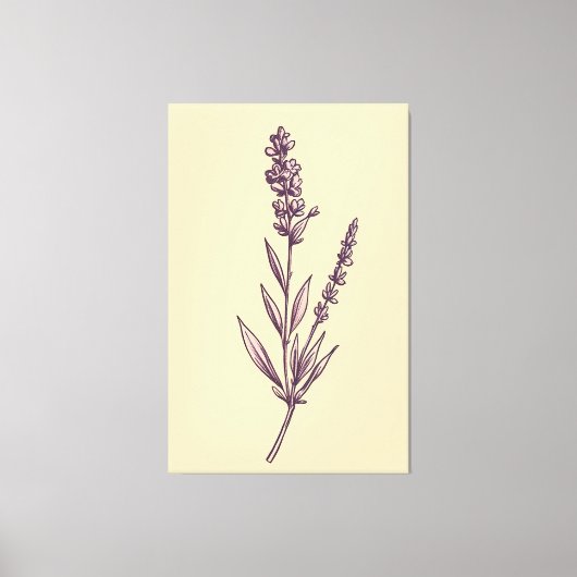 Delikate Lavendel Sprig auf Creme Background Leinwanddruck (Vorderseite)