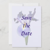 Delikate Lila Iris Save the Date (Rückseite)