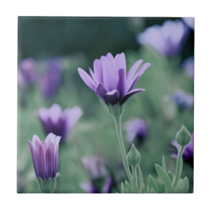Delikate Lila Lavendel-Blume Fliese