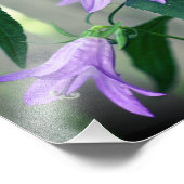 Delikate Lila Lily-Blume 8x8 Fotodruck (Ecke)