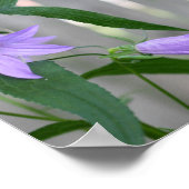 Delikate Lila Lily-Blume Abstrakt Poster (Ecke)