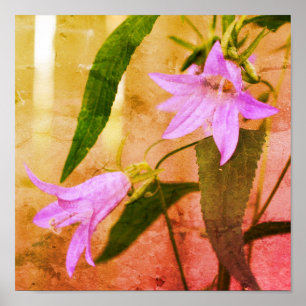 Delikate Lila Lily-Blume gestörte Kunst Poster