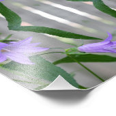 Delikate Lila Lily-Blume Mirror Abstrakt 8x8 Fotodruck (Ecke)