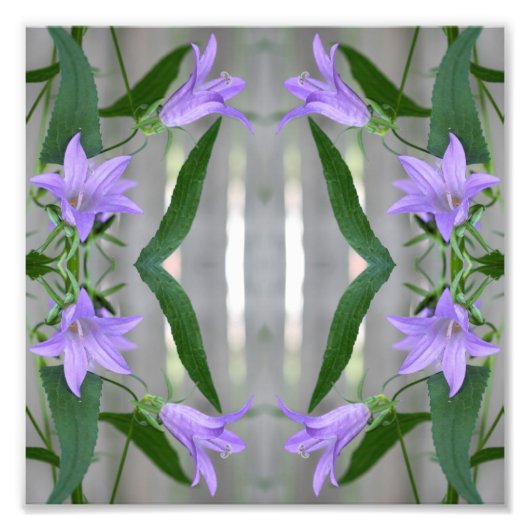 Delikate Lila Lily-Blume Mirror Abstrakt 8x8 Fotodruck (Vorne)