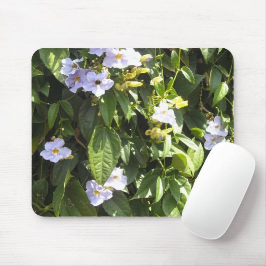 Delikate Morning Glories Mousepad (Mit Mouse)