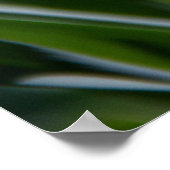 Delikate niedliche Daffodien Federposter Poster (Ecke)