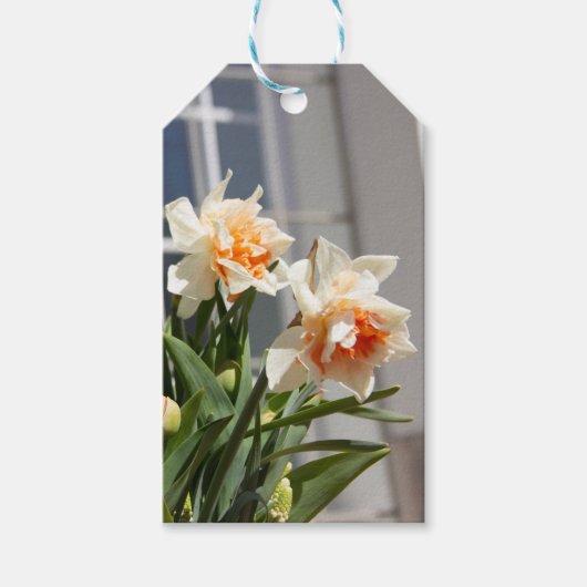 Delikate niedliche Narzissen Geschenkanhänger (Vorderseite)