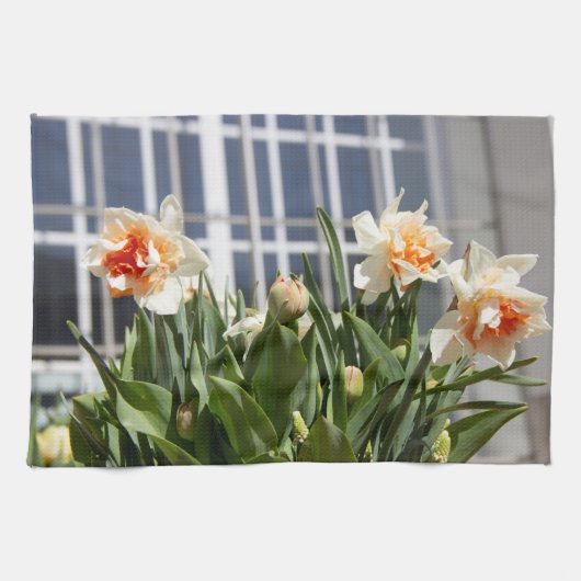 Delikate niedliche Narzissen Geschirrtuch (Horizontal)