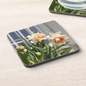 Delikate niedliche Narzissen Getränkeuntersetzer (Linke Seite)