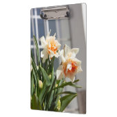 Delikate niedliche Narzissen Klemmbrett (Links)