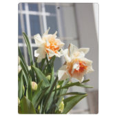 Delikate niedliche Narzissen Klemmbrett (Rückseite)