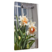 Delikate niedliche Narzissen Klemmbrett (Rechts)