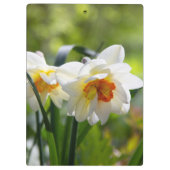 Delikate niedliche Narzissen Klemmbrett (Rückseite)