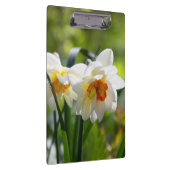 Delikate niedliche Narzissen Klemmbrett (Rechts)