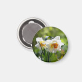 Delikate niedliche Narzissen Magnet (Vorderseite/Rückseite)