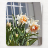 Delikate niedliche Narzissen Mousepad (Vorne)