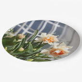 Delikate niedliche Narzissen Pappteller (Schrägansicht)