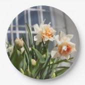 Delikate niedliche Narzissen Pappteller (Vorderseite)