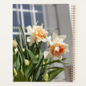 Delikate niedliche Narzissen Planer (Rückseite)